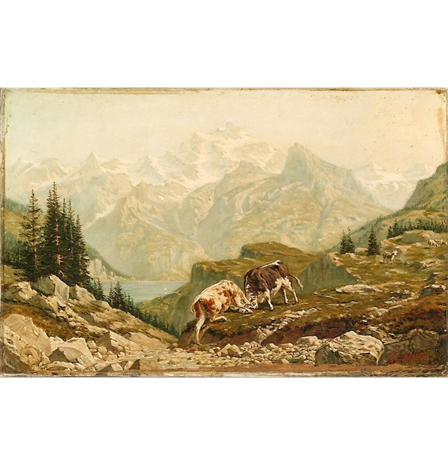 Bull Fight in the Alps-painting